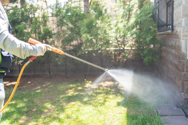 Best Lawn Pest Control  in Manville, NJ